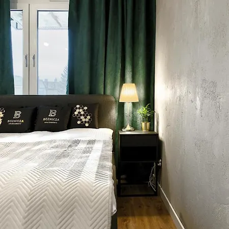 Bóżnicza Apartamento Poznan