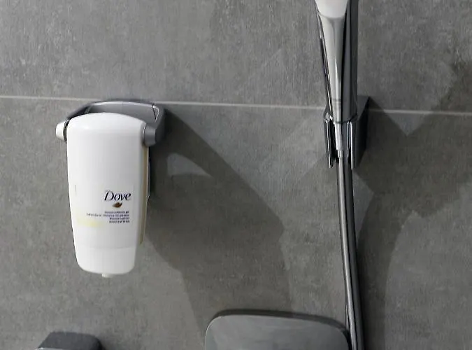 Boznicza * 波兹南