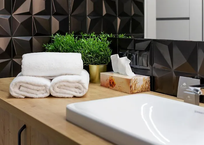 公寓 Boznicza 波兹南